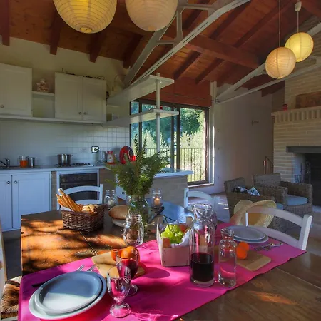 Vakantiehuis With Pool Near