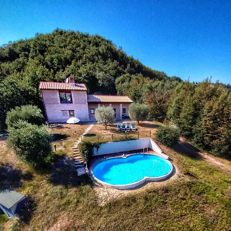 Vakantiehuis With Pool Near