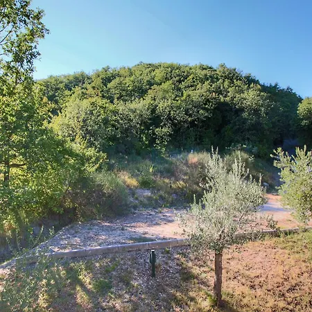 Vakantiehuis With Pool Near