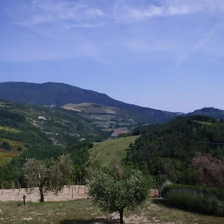 Holiday Home With Pool Near Assisi * Assisi