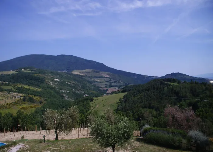 With Pool Near * Assisi